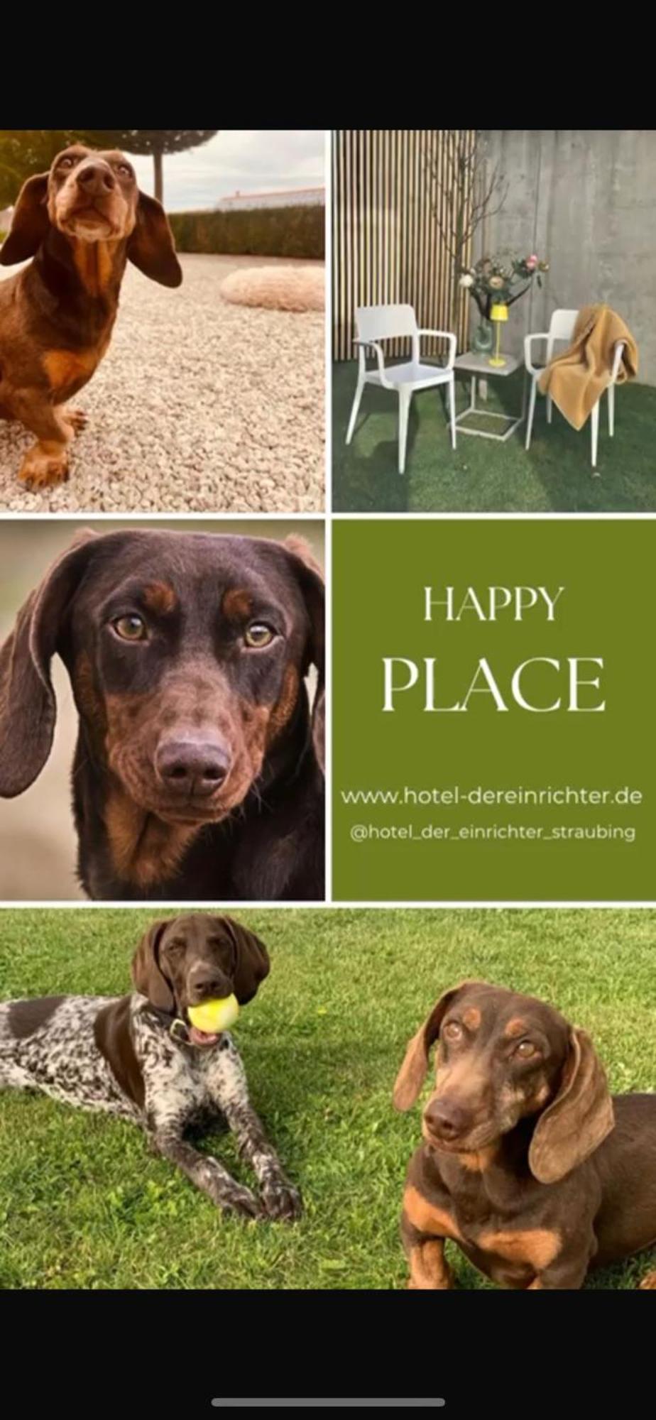 Hotel Der Einrichter ชเตราบิง ภายนอก รูปภาพ